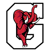 Sunlake High School Football Opponent Logo