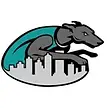 Sunlake High School Football Opponent Logo